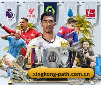 星空体育官网入口 APP(XINGKONGSPORTS)